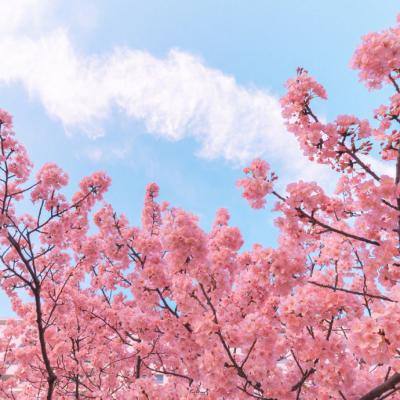 萌侠荣耀官方版(暂未上线)v1.0.1 安卓版